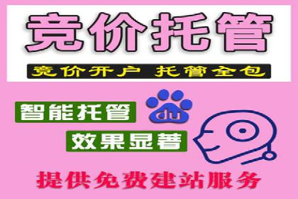 搜索开户返点揭秘：成功案例教你快速赚钱